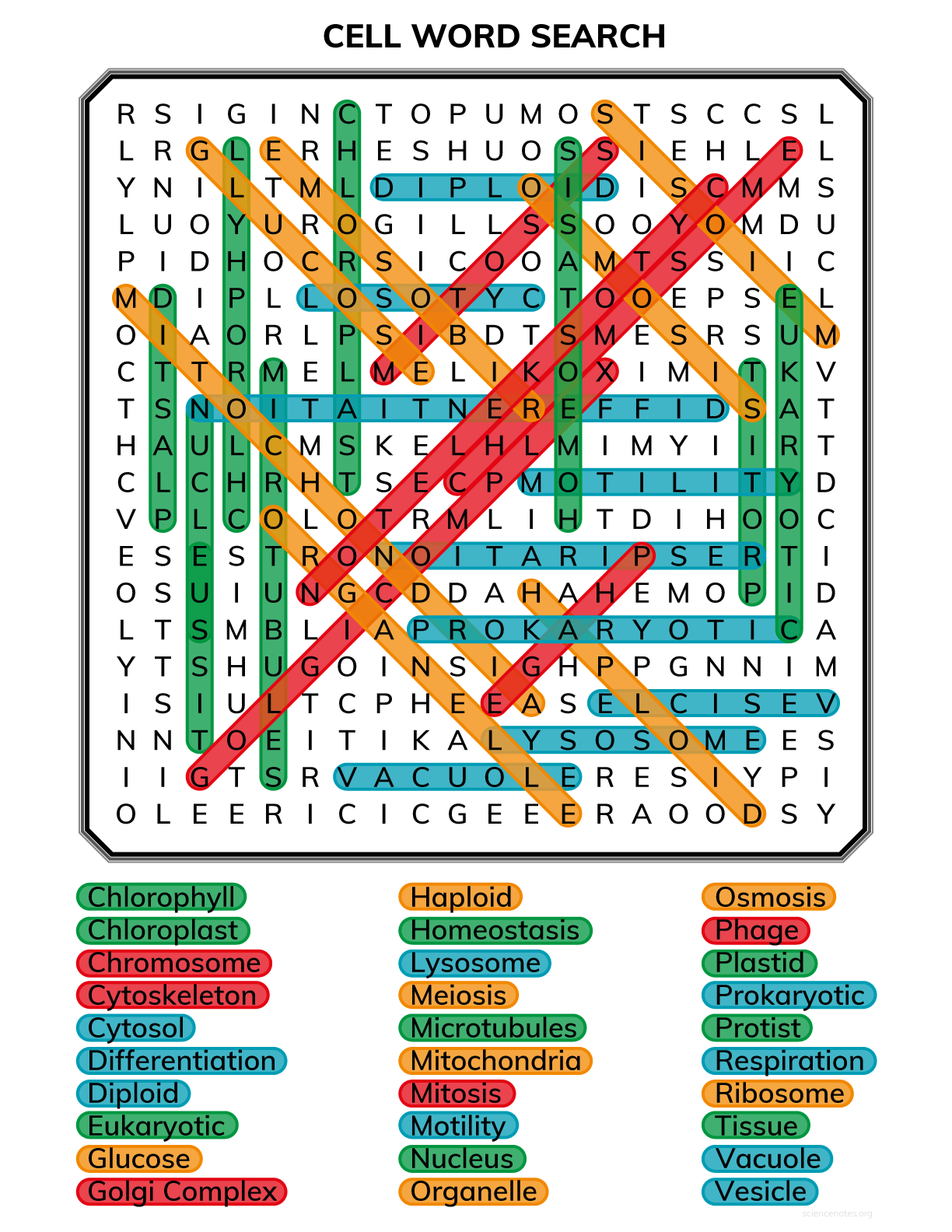 Cell Biology Word Search Answer Key Word Search Printable