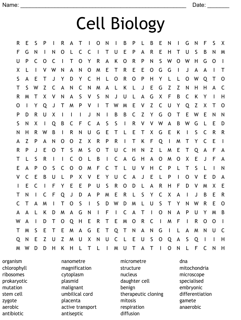 Cell Biology Word Search Answer Key