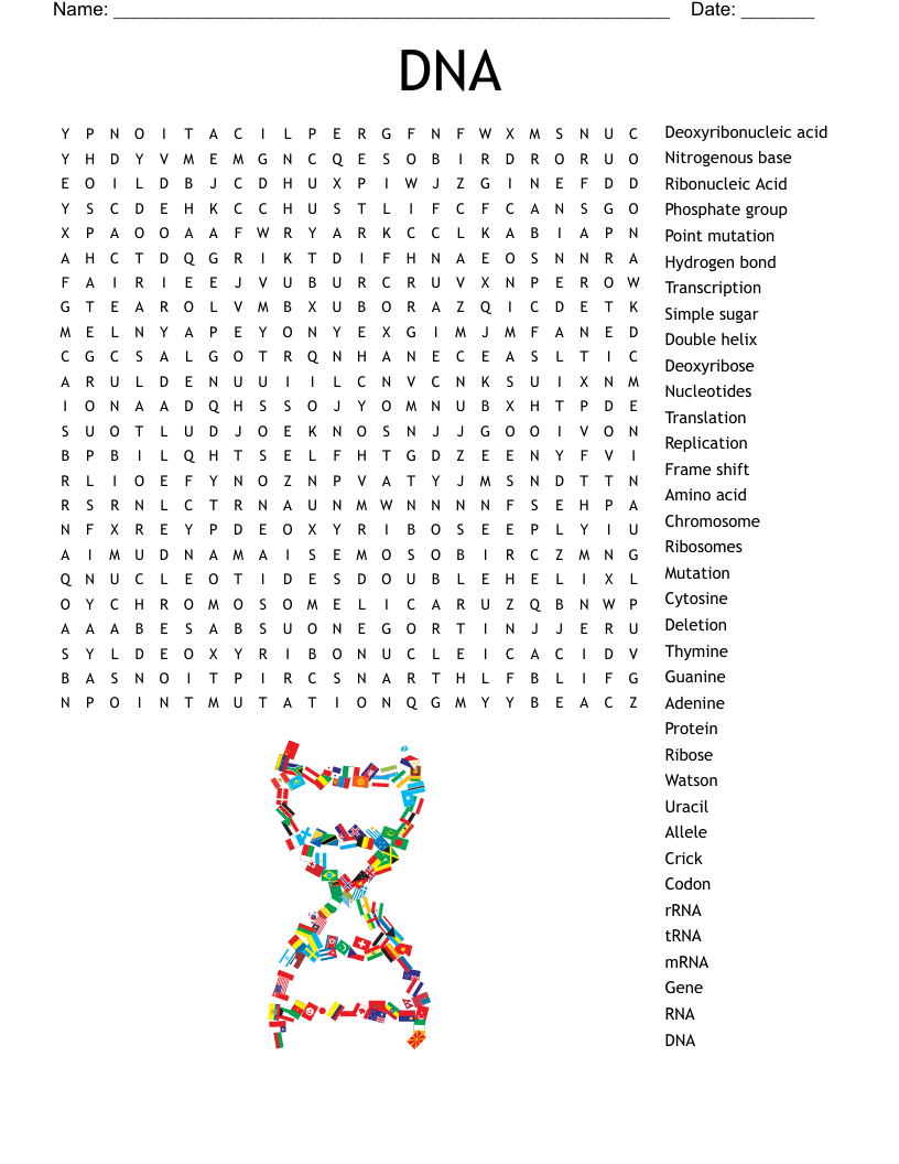 DNA Replication And Protein Synthesis Word Search WordMint