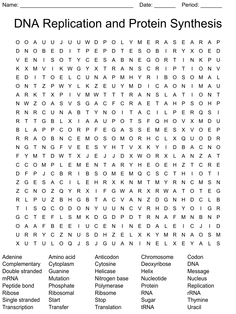 DNA Replication And Protein Synthesis Word Search WordMint