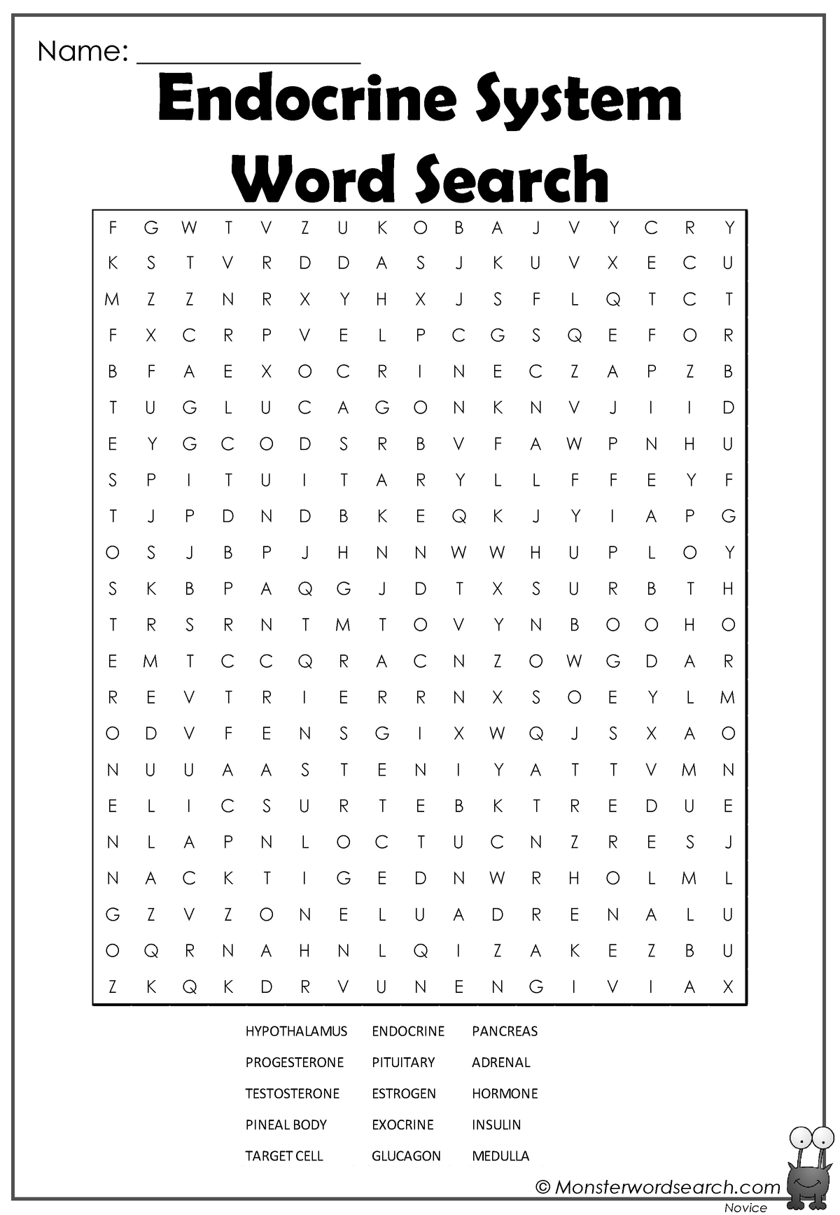Endocrine System Word Search Answer Key