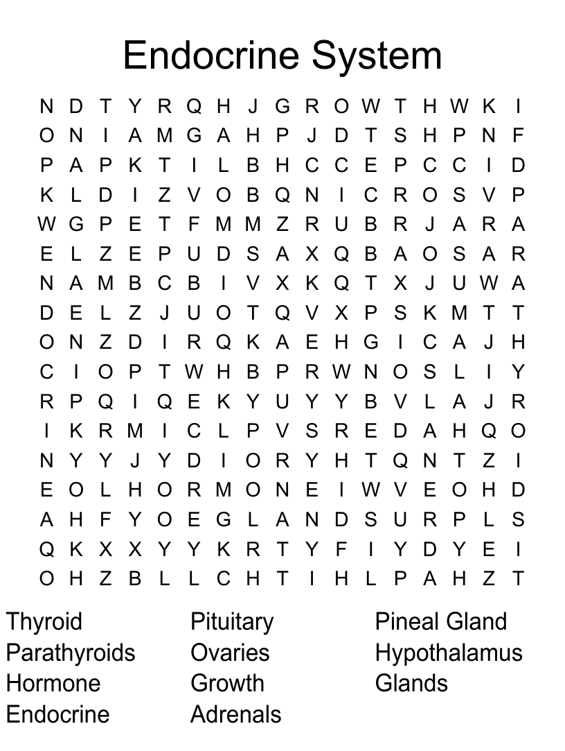 Endocrine System Word Search WordMint