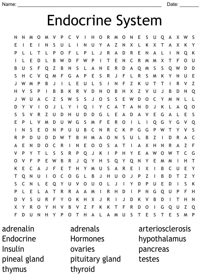 Endocrine System Word Search Answer Key Word Search Printable