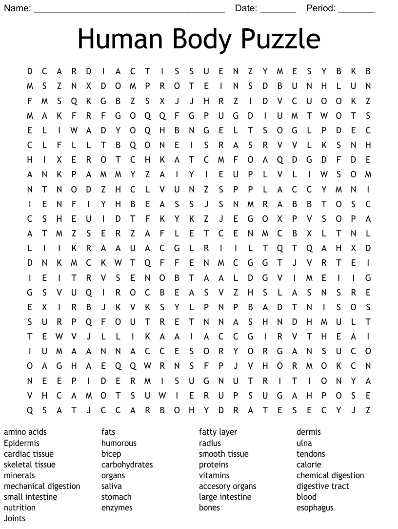 Human Body Puzzle Word Search WordMint