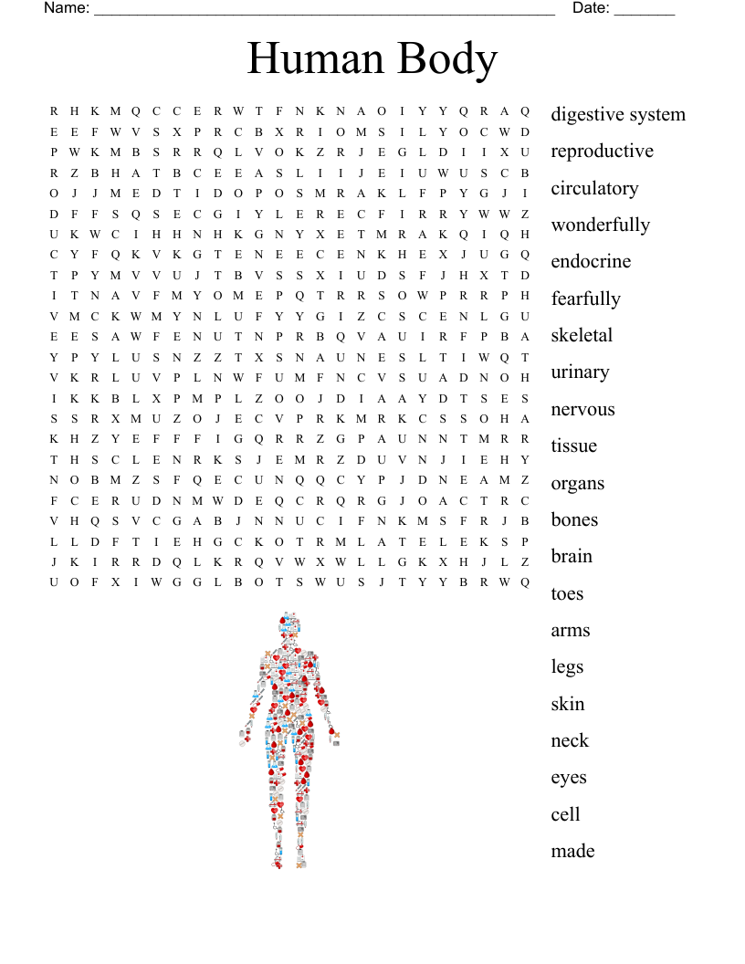 Human Body Word Search WordMint