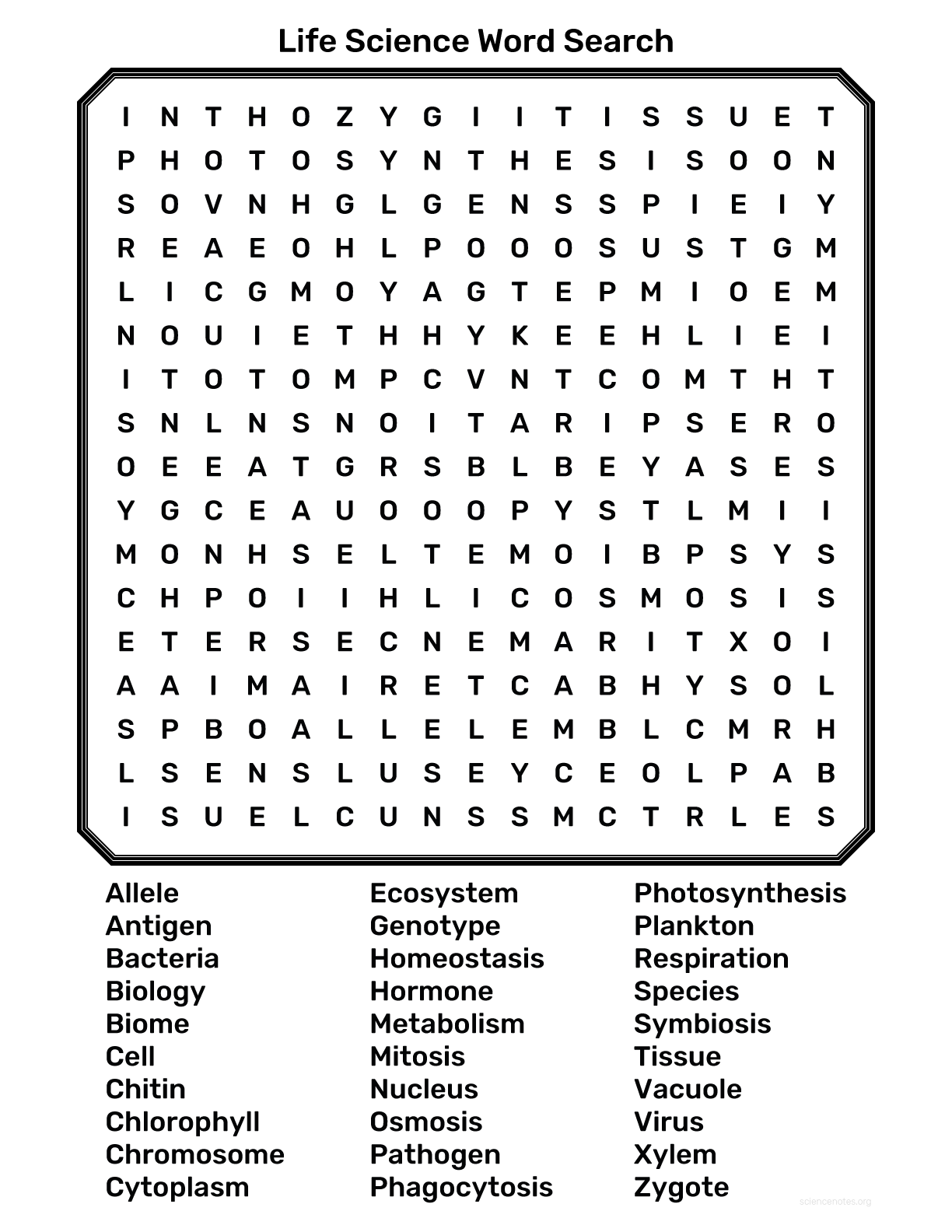 5th Grade Science Word Search