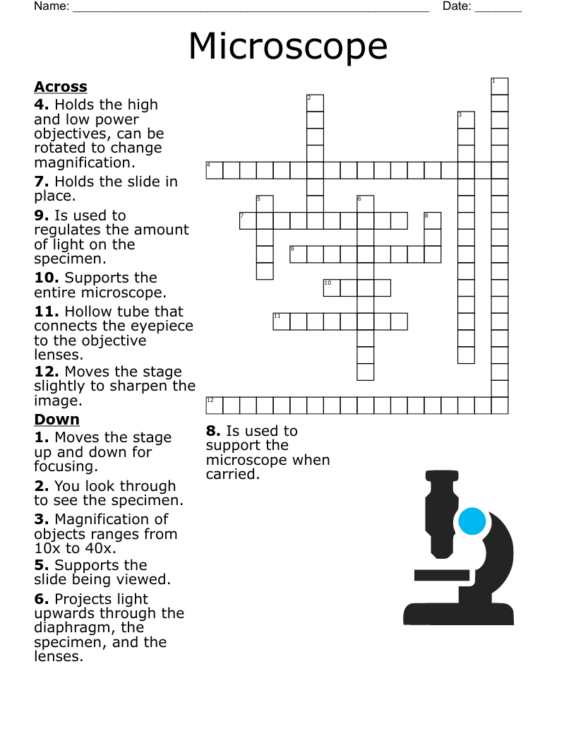 Microscope Word Search WordMint