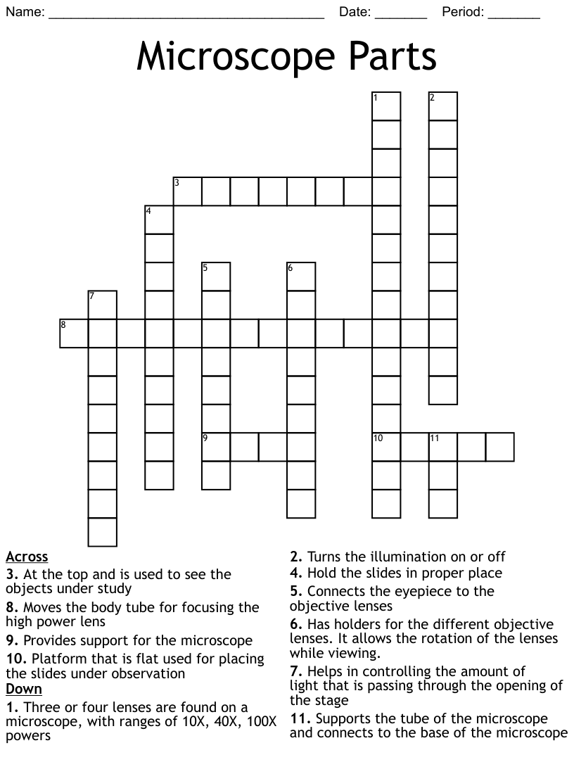 Microscope Mania Word Search Answer Key