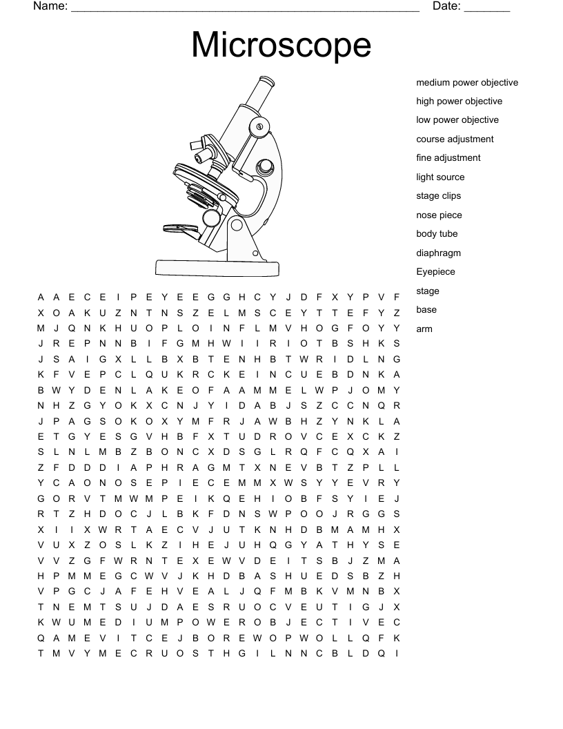 Microscope Word Search Answer Key