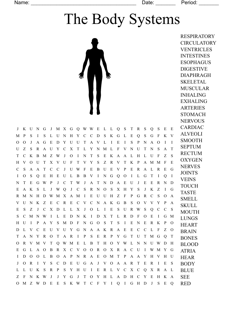 The Body Systems Word Search WordMint