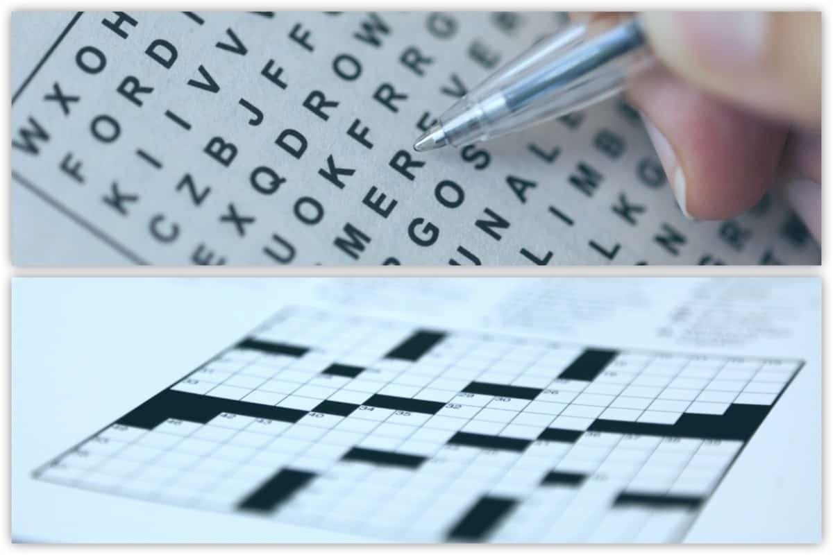Word Search Vs Crossword Similarities And Differences Gamesver